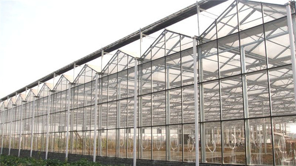 5e6af60f09850.jpg 5cff6341a0de0.jpg